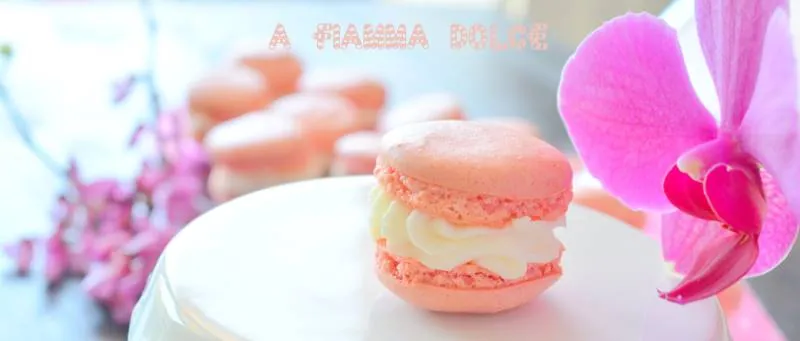 Macarons di Montersino