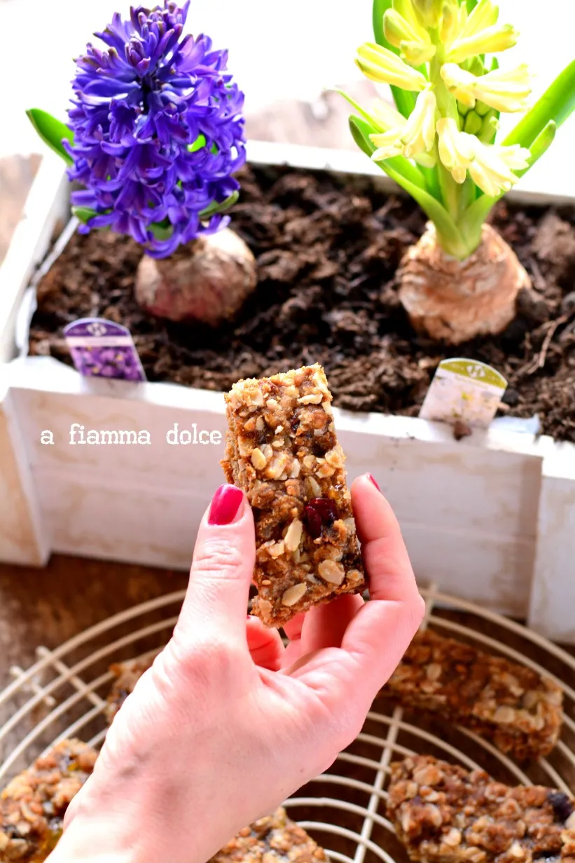 Barrette perfette e veloci ai fiocchi d’avena e frutti rossi vegan